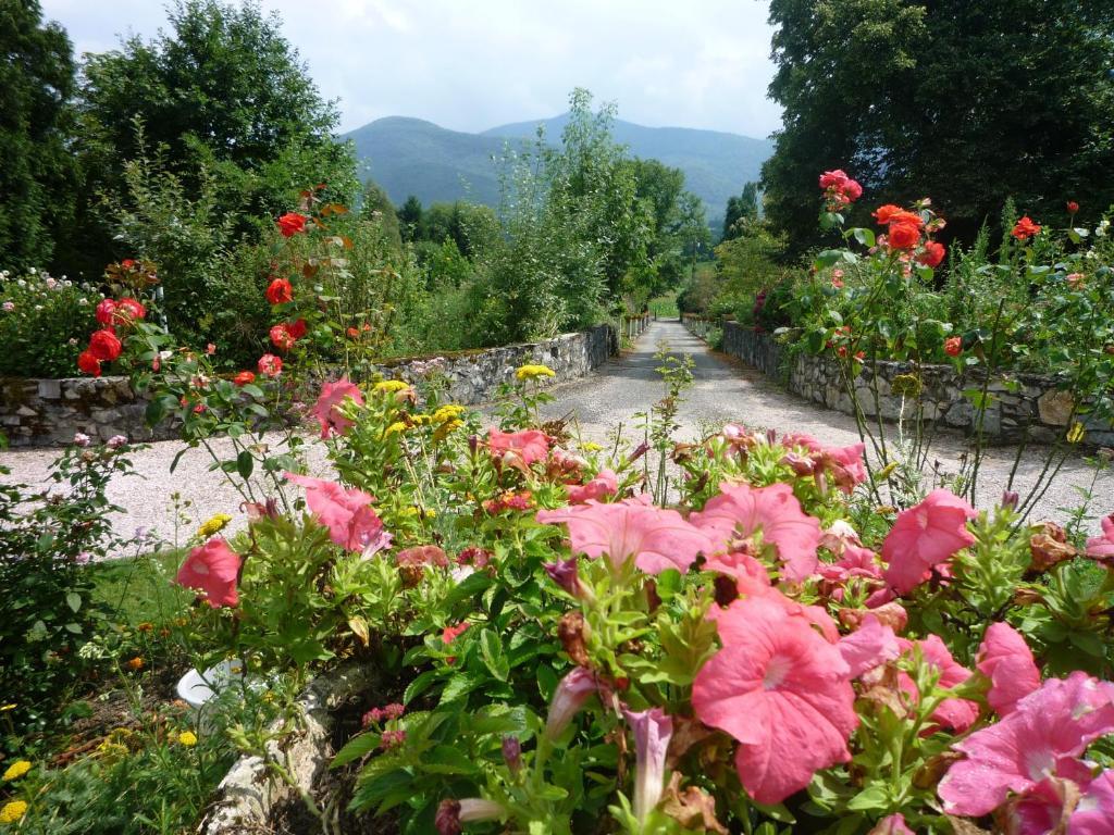 Bed and Breakfast Domaine Vega Saint-Arroman  Экстерьер фото